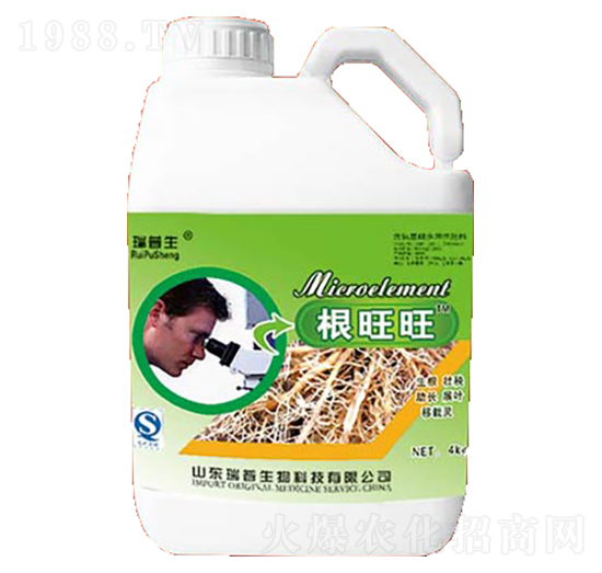 �����-��������