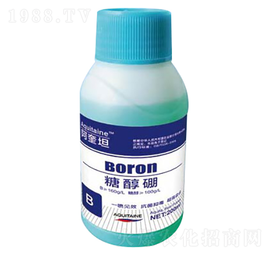 �Ǵ���-��������