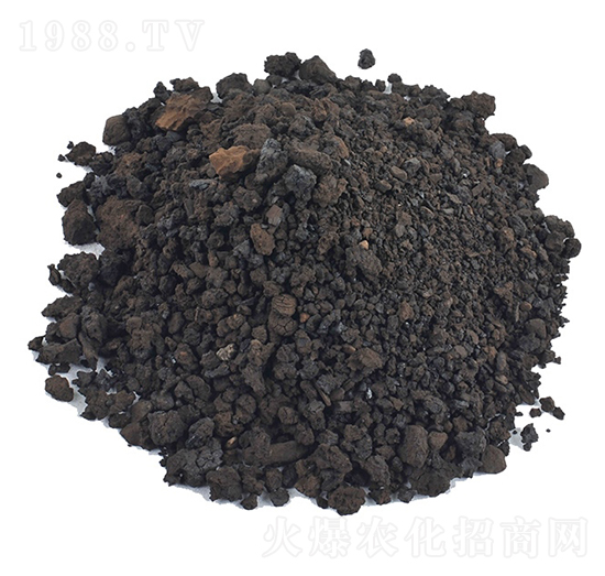 ��ֲ�����-�𺣵|