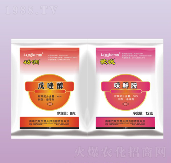 ����+��ꚢ����-��������