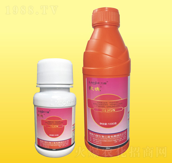 ��ꚢ����-��������