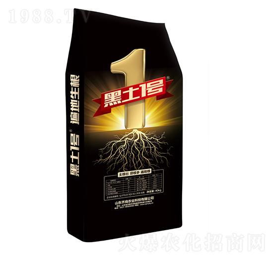 �������-����1̖-�R��