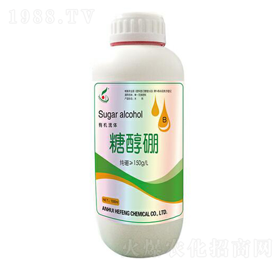 �Ǵ���-���S