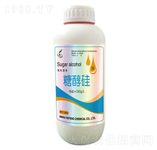 �Ǵ���-���S