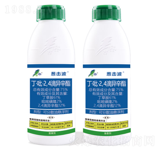 75%��������2��4���ή���֬-�[����-����