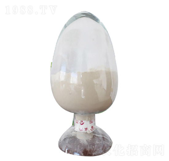 �ݲ�ѿ�ߗU��ԭˎ-��������