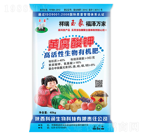 �S����������ЙC(j��)��-�Ɲ�(r��n)����