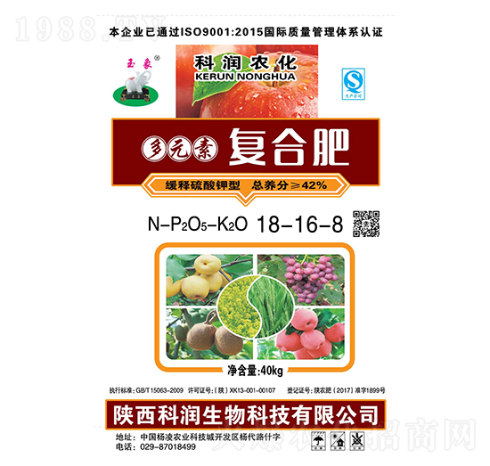 ������͓������18-16-8-�Ɲ�(r��n)����