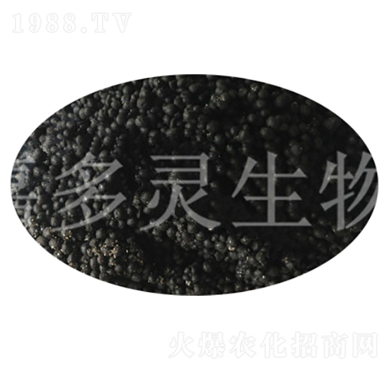 ΢�����ЙC�ʣ�С�w����-�ζ��`