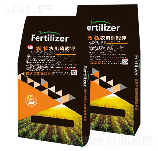 �w���r(n��ng)�������-�W������