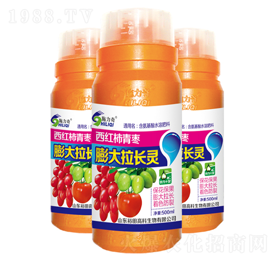 ���t������������L(zh��ng)�`-ʩ����-ԣ��߿�