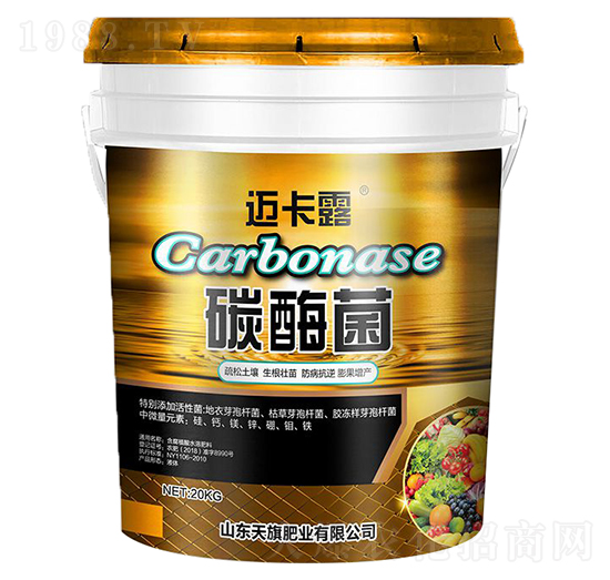 ̼ø��-����ʘI(y��)