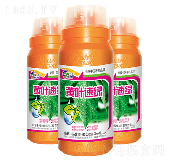 �S�~�پG-ʩ����-ԣ��߿�