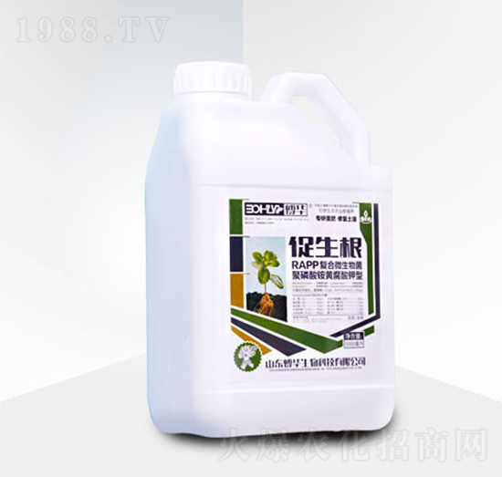 �ͺ�΢�����-������-���A����