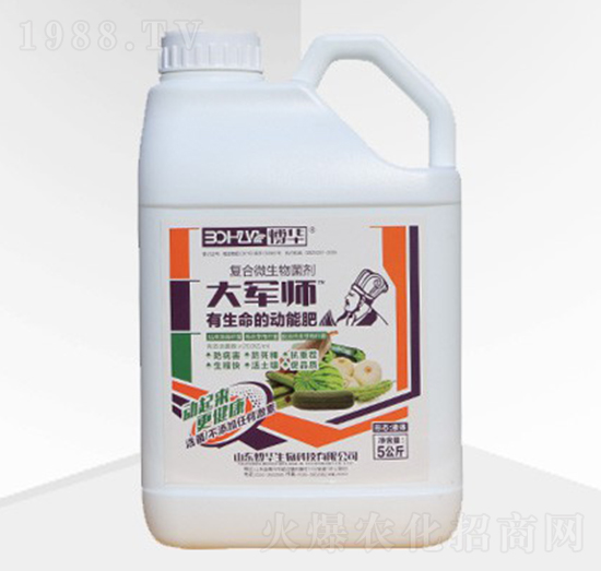 ��܊�������(l��i)��-���A����