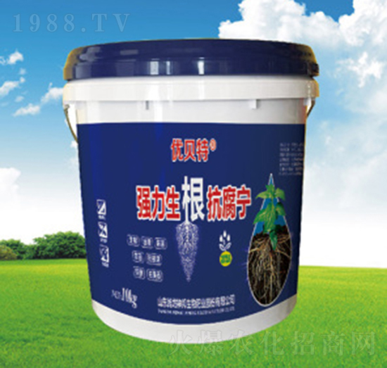 ��(qi��ng)������������-�������