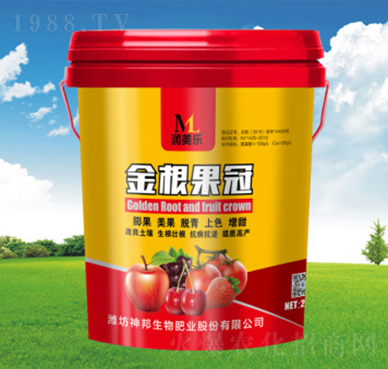 �������Ͱ��-�������