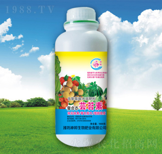 �|̦��-�������