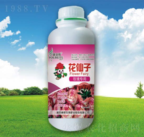 �������~���-�������