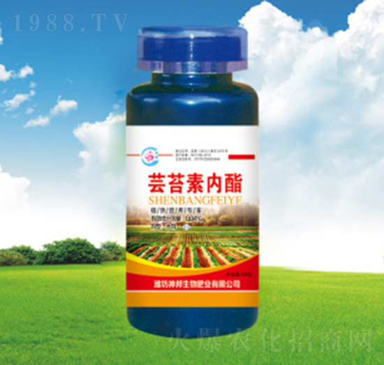 �|̦�؃�(n��i)֬-�������