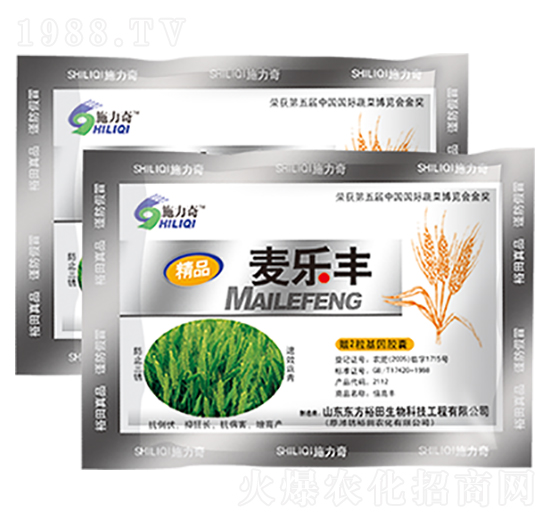 �����S-ԣ��߿�