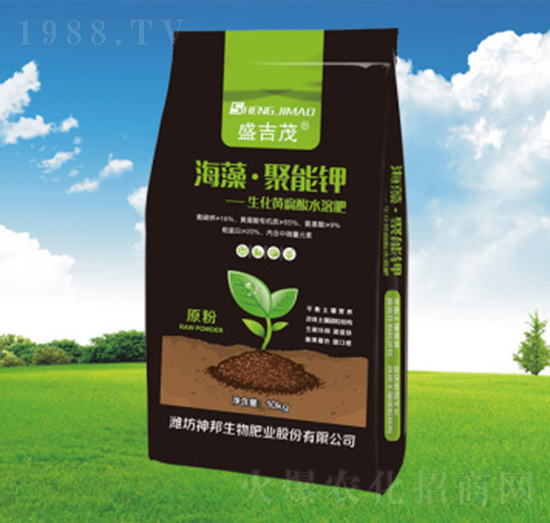 ���塤�����-�������