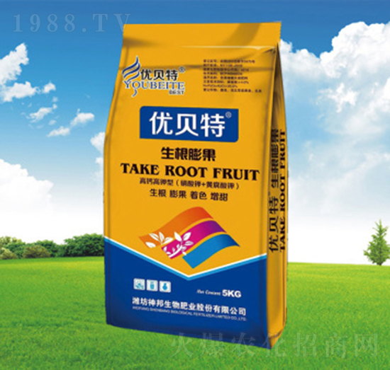 �������-�������