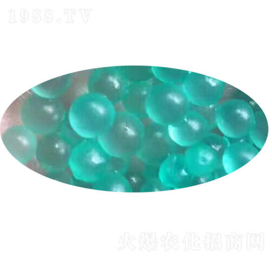 �������-��ʢ�r�I(y��)