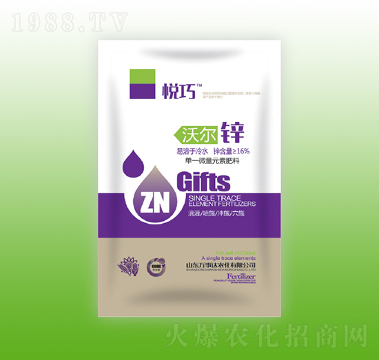 �֠��\-����-�f���_