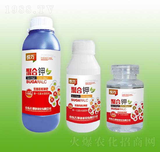 �ۺ��-����-�f(w��n)���_(d��)