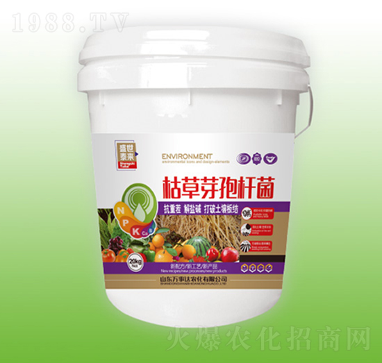 �ݲ�ѿ�ߗU��-ʢ��̩��-�f���_