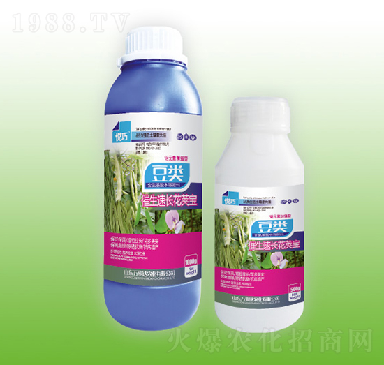 ���(l��i)�������L(zh��ng)���v��-����-�f(w��n)���_(d��)