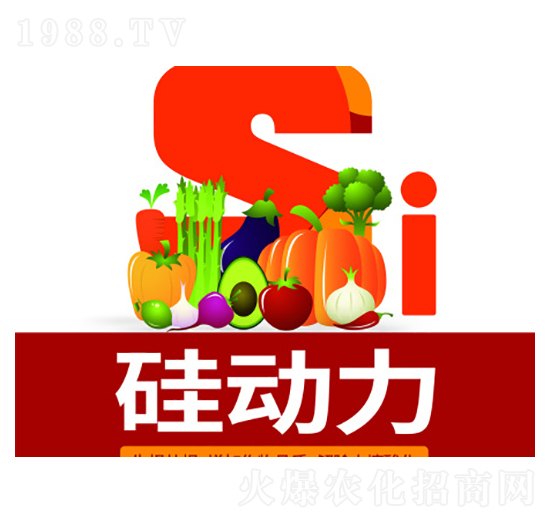 �����-�f���_