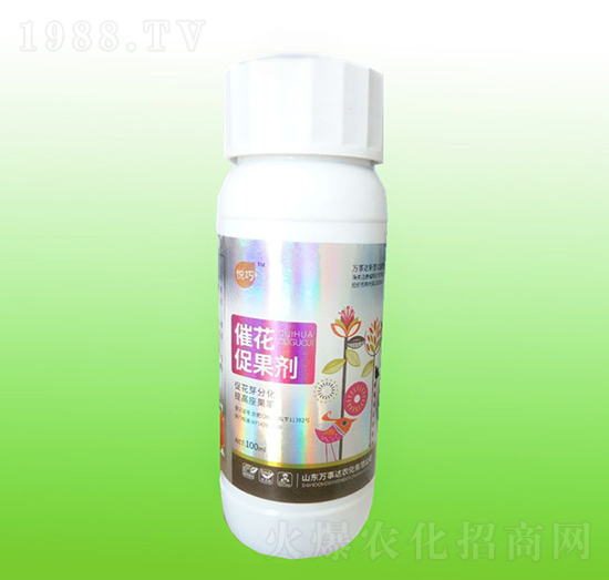 �߻��ٹ���-����-�f���_