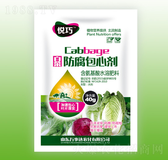 �ײ˷������Ą�-����-�f(w��n)���_(d��)