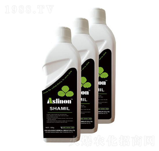 ɳ�נ���ȫ����-�A�����r