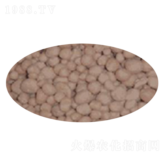 40%��(f��)�Ϸ�-����