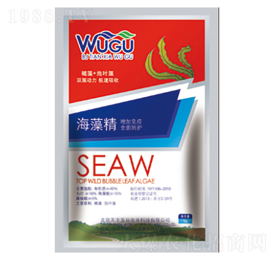 ���徫-�������