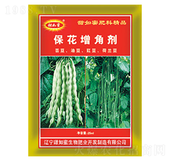 �������Ǆ�-������