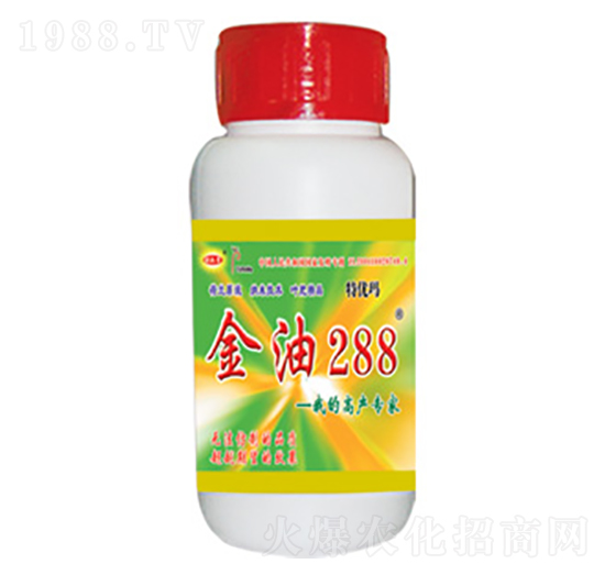 ����288-������