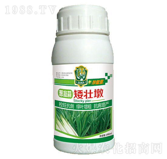 �[���Ⱛ�Ѷ�-���A����