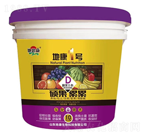 �ؿ�һ̖-�T������-�ؿ�