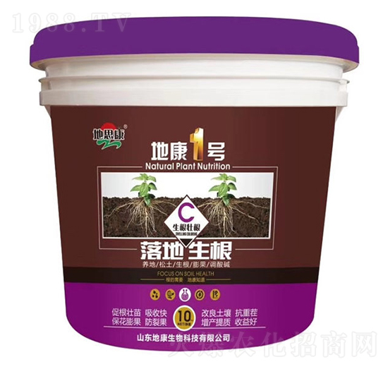 �ؿ�һ̖-�������-�ؿ�