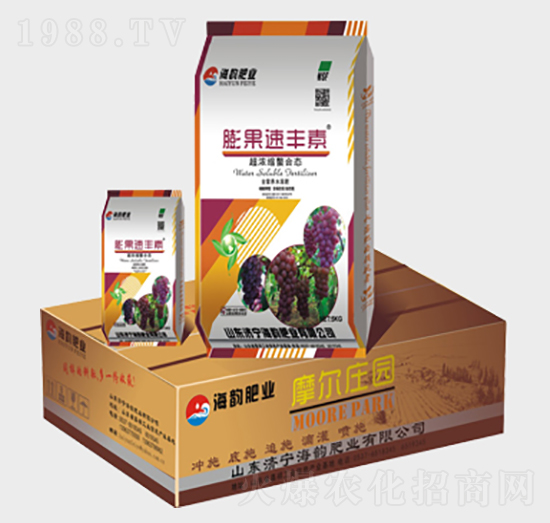 ������S��-Ħ���f�@-��퍷ʘI(y��)