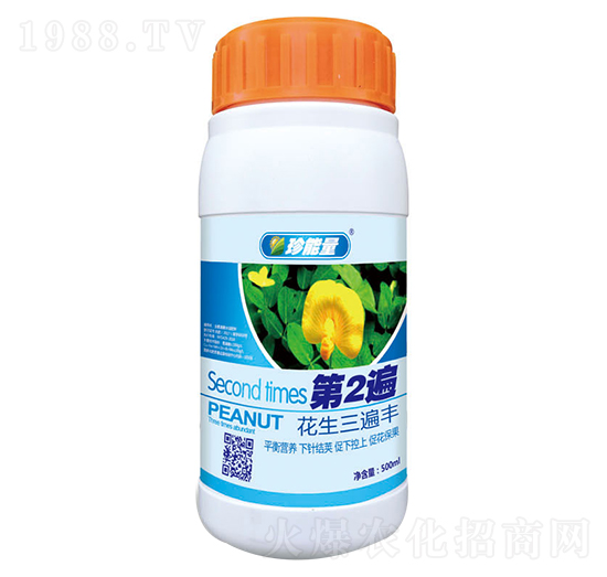 ���������S-��2��-���A����