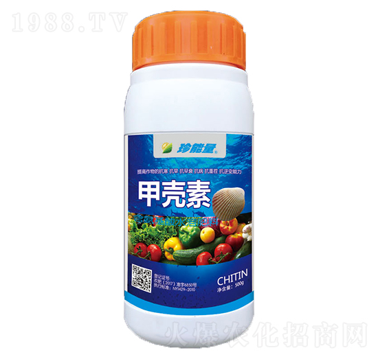 �ך���-���A����