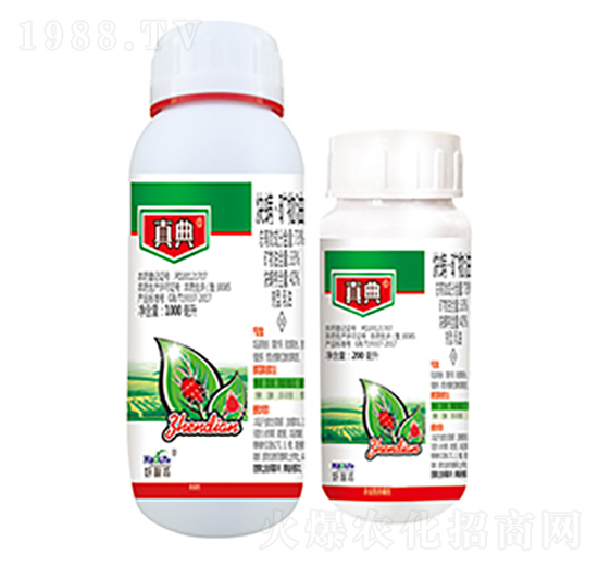 73%Ȳ�M���V����-���-����������