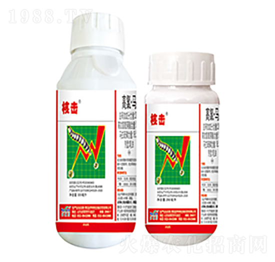 20%���ȡ��R-�˓�-����������