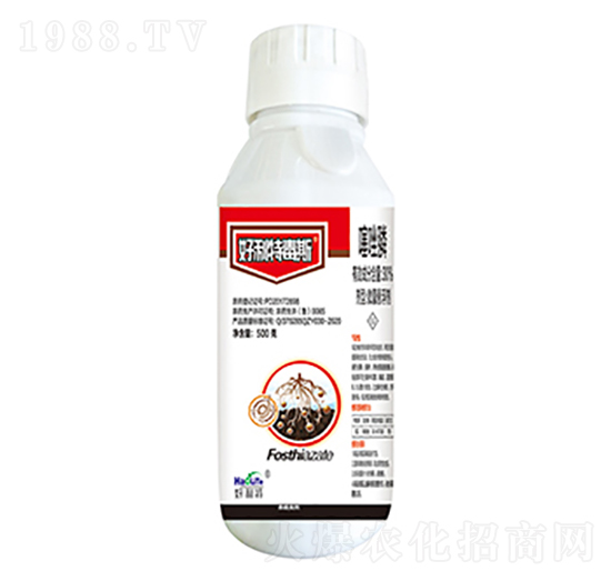 30%�����-�����ض�˹-����������