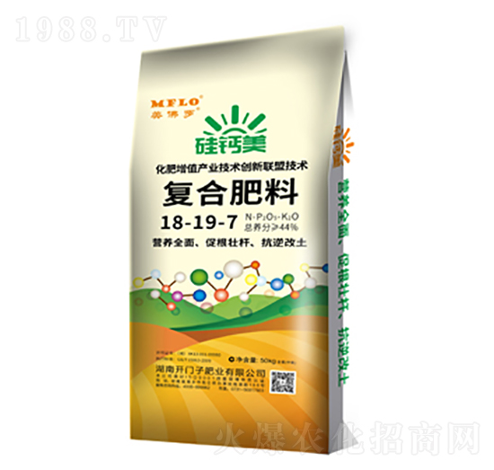 ���}���ͺϷ���18-19-7-�����_-�_�T��